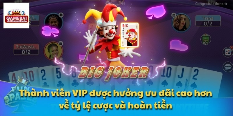 Thành viên VIP được hưởng ưu đãi cao hơn về tỷ lệ cược và hoàn tiền