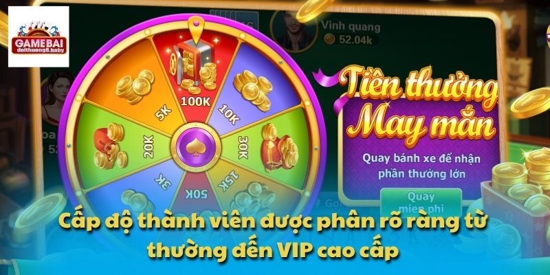 Cấp độ thành viên được phân rõ ràng từ thường đến VIP cao cấp