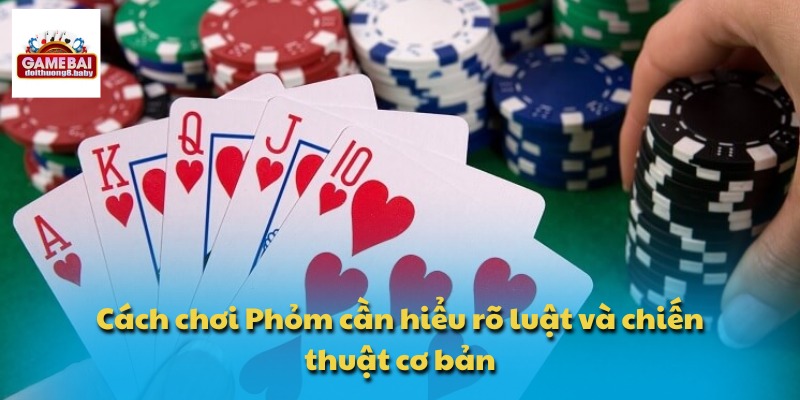 Cách chơi Phỏm cần hiểu rõ luật và chiến thuật cơ bản