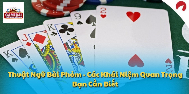 Thuật Ngữ Bài Phỏm - Các Khái Niệm Quan Trọng Bạn Cần Biết 1 Thuật Ngữ Bài Phỏm